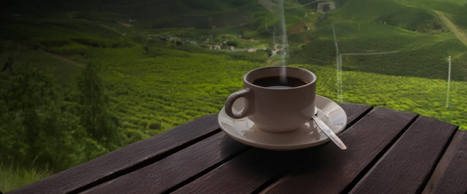 Café peruano de especialidad - CodeBrew, compra directa del productor