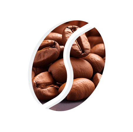 Equipo CodeBrew - Café peruano directo del productor