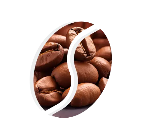 Equipo CodeBrew - Café peruano directo del productor